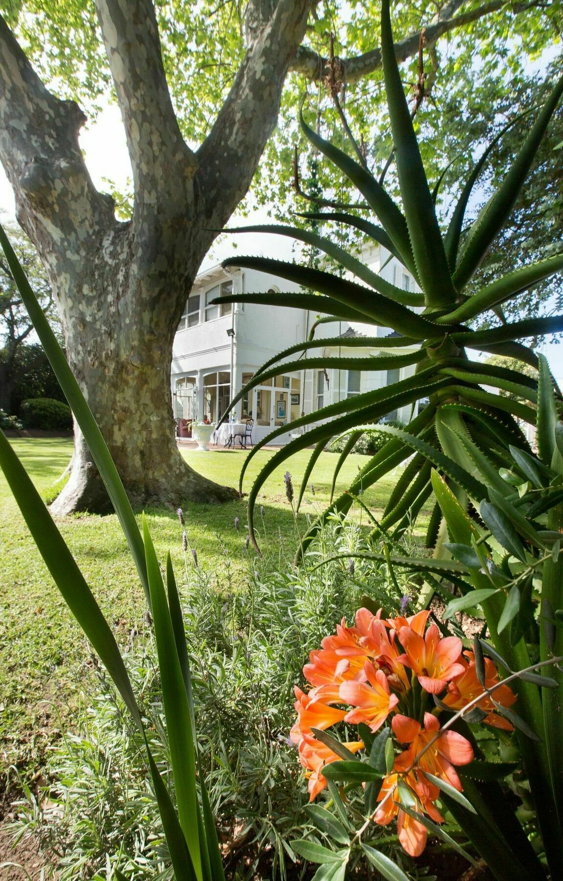 Brooklands House Hotel Cape Town Exterior photo